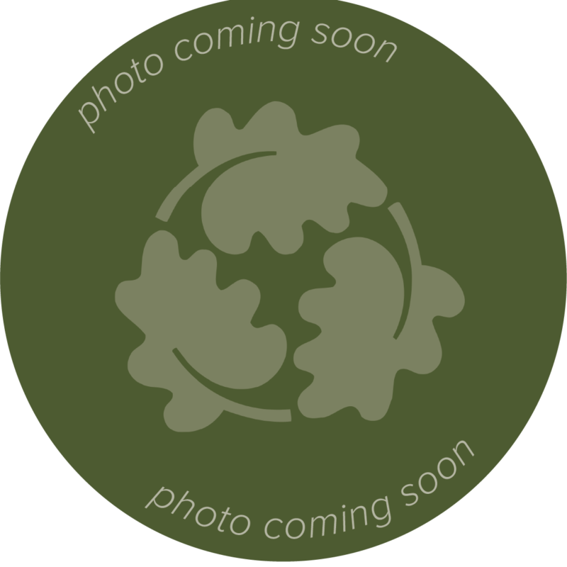 TreePeople Staff Photo Coming Soon
